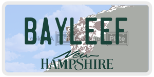BAYLEEF  license plate in NH