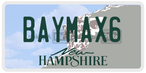 BAYMAX6  license plate in NH