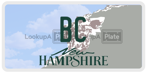 BC  license plate in NH