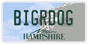 BIGRDOG  license plate in NH