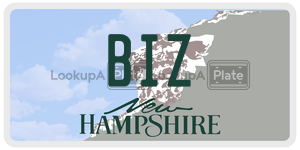 BIZ  license plate in NH