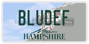 BLUDEF  license plate in NH