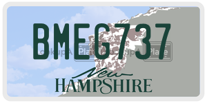 BMEG737  license plate in NH