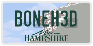 BONEH3D  license plate in NH