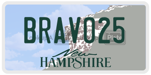 BRAVO25  license plate in NH