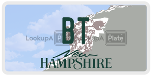 BT  license plate in NH