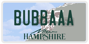 BUBBAAA  license plate in NH