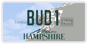 BUD1  license plate in NH