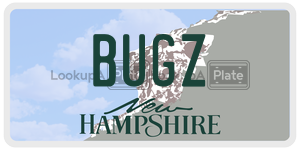 BUGZ  license plate in NH