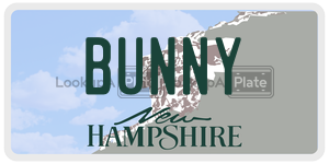 BUNNY  license plate in NH