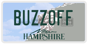 BUZZOFF  license plate in NH
