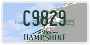 C9829  license plate in NH