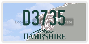 D3735  license plate in NH