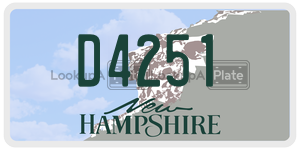 D4251  license plate in NH