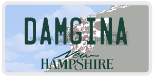 DAMGINA  license plate in NH