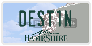 DEST1N  license plate in NH