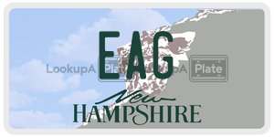 EAG  license plate in NH