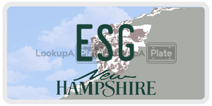 ESG  license plate in NH