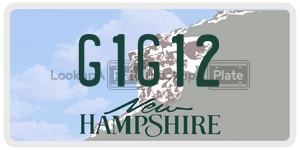 G1G12  license plate in NH