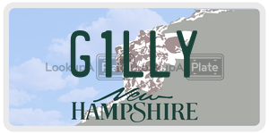 G1LLY  license plate in NH
