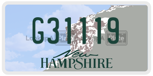 G31119  license plate in NH