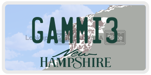 GAMMI3  license plate in NH