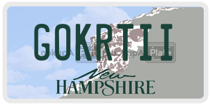 GOKRTII  license plate in NH