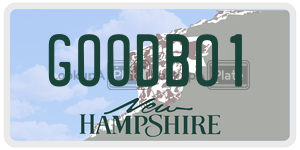 GOODBO1  license plate in NH