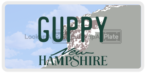 GUPPY  license plate in NH