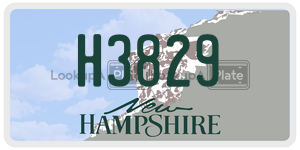 H3829  license plate in NH