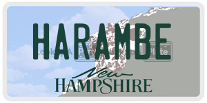 HARAMBE  license plate in NH