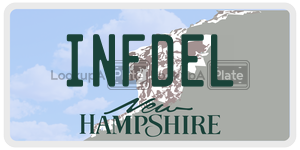 INFDEL  license plate in NH