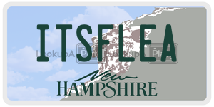 ITSFLEA  license plate in NH