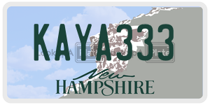 KAYA333  license plate in NH