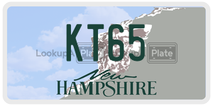 KT65  license plate in NH