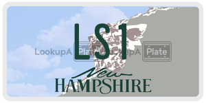 LS1  license plate in NH