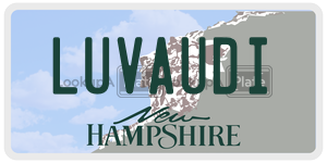LUVAUDI  license plate in NH