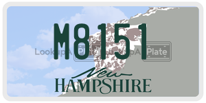 M8151  license plate in NH