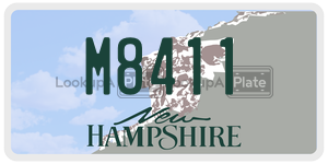 M8411  license plate in NH