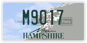 M9017  license plate in NH