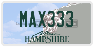MAX333  license plate in NH