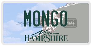 MONGO  license plate in NH