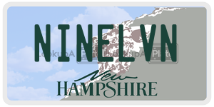 NINELVN  license plate in NH