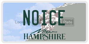 NOICE  license plate in NH