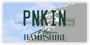 PNKIN  license plate in NH