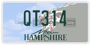 QT314  license plate in NH