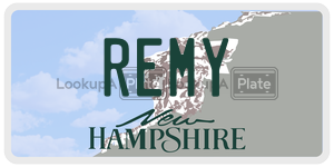 REMY  license plate in NH