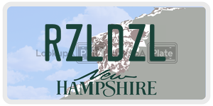 RZLDZL  license plate in NH