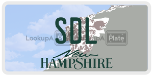 SDL  license plate in NH