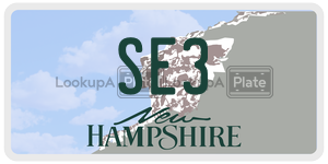 SE3  license plate in NH